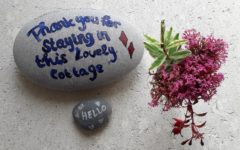 self catering decorated pebble